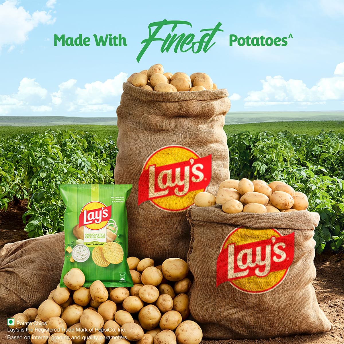 onion chip4